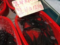 -七宝蔬菜农副产品综合交易市场-停车场