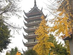 -生宇山珍野生菌汤锅•始于2002(双流古塔店)