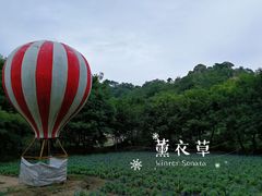 -丹樱生态园