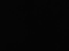 -泮溪酒家(荔枝湾店)