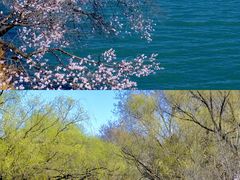 -颐和园