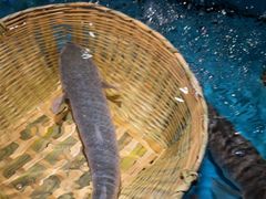 -拉完海鲜大排档(温岭店)