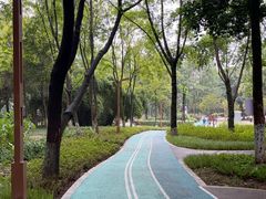 -重庆彩云湖湿地公园
