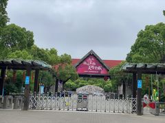 -上海海湾国家森林公园