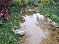 -东莞植物园