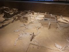 -洛阳周王城天子驾六博物馆