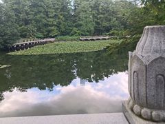 -荔枝公园(福田区)
