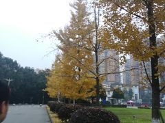 -成都工业学院(郫都校区)