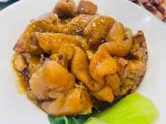 -姚林轩