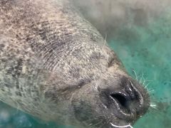 -厦门海底世界