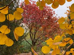 -永定河休闲森林公园