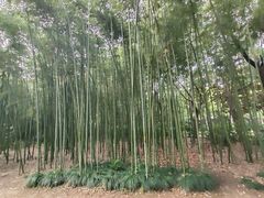 -苏州河梦清园环保主题公园