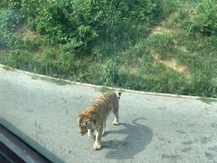 -大连森林动物园