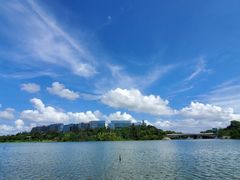-华侨城湿地公园
