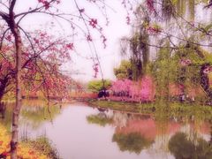 -圩墩遗址公园