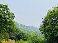 -北京西山国家森林公园