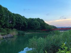 -美兰湖景区