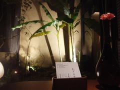 -觀芷隐轩