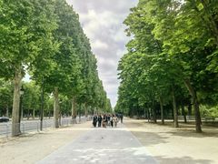-瀛洲生态公园