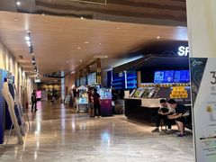 -SFC上影影城(港汇永华IMAX激光店)