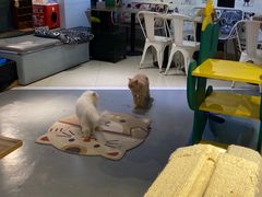 -小时光咖啡馆(开森度假森林店)