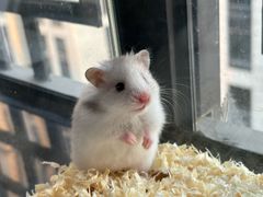 -吴山花鸟城-停车场