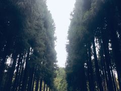 -山王坪喀斯特国家生态公园