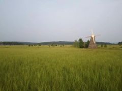 -塞罕坝国家级自然保护区