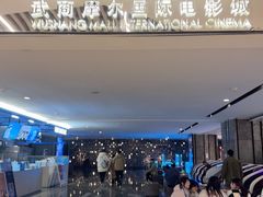 -武商摩尔影城(国广IMAX激光店)