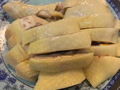 -九斤黄三黄鸡专卖店