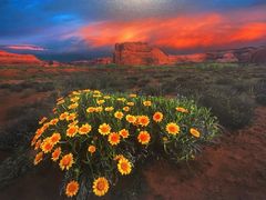 -罗红摄影艺术馆