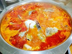 -聚黔堂凯里酸汤鱼美食店