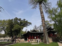 -晋祠公园
