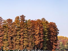 -东湖听涛景区