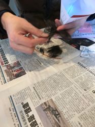 -龙文宝贝上门婴儿理发满月剃胎毛(总店)