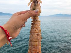 -越海渔村