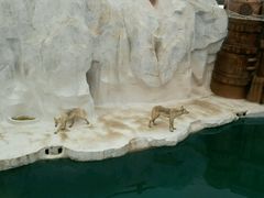 -秦皇岛乐岛海洋王国