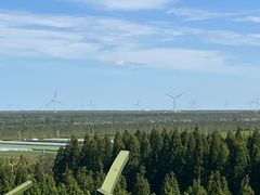 -黄海国家森林公园