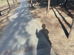 -森林公园(尖草坪区)