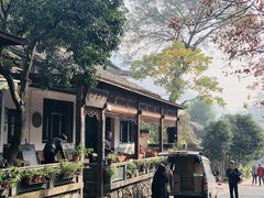 -龙井壹号·茶缘山景宴(龙井村店)