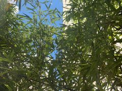 -潮州府·潮菜·砂锅粥(徐家汇店)