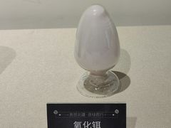 -中国地质博物馆