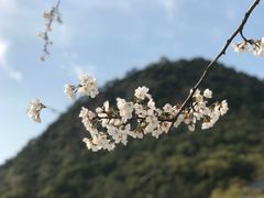 -湘湖金融镇