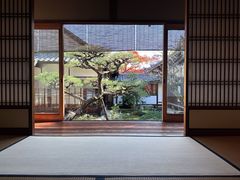 -常寂光寺