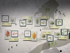 -中国湿地博物馆