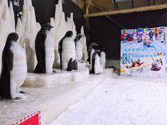 -宁波冰雪大世界(北仑区)
