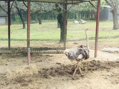 -西安秦岭野生动物园
