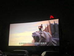 -枫花园汽车电影院(朝阳公园店)