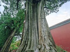 -历代帝王庙博物馆