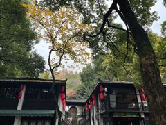 -杭州黄龙洞